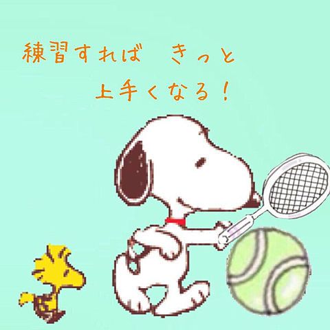 Compagno コンパーニョ 48 サークルマイページ テニス365 Tennis365 Net サークル