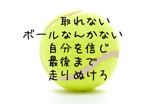 Compagno コンパーニョ 48 サークルマイページ テニス365 Tennis365 Net サークル